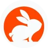 CodeRabbit 图标