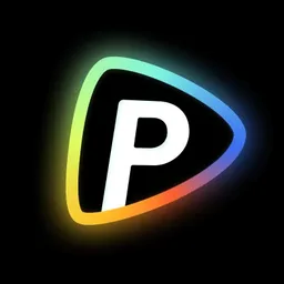 Pollo AI 图标